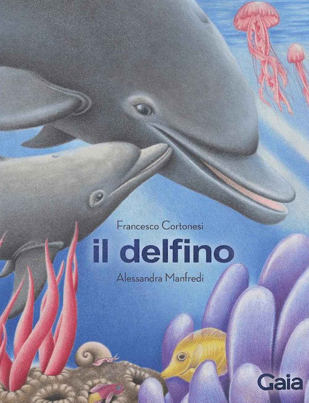 il delfino Francesco Cortonesi